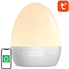 Gosund LB2S RGB WiFi-s intelligens éjszakai fény, Tuya