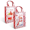 Karácsonyi ajándéktáska - 32 x 25 x 11 cm - 2 féle (59726)