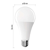 LED izzó Classic A80 / E27 / 20 W (150 W) / 2452 lm / Hideg fehér (ZQ5E84)