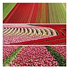 Lemeznaptár 2026 REALSYSTEM 300x300mm Palette