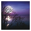 Lemeznaptár 2026 REALSYSTEM 300x300mm The moon