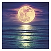 Lemeznaptár 2026 REALSYSTEM 300x300mm The moon