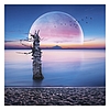 Lemeznaptár 2026 REALSYSTEM 300x300mm The moon