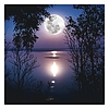 Lemeznaptár 2026 REALSYSTEM 300x300mm The moon