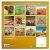 Lemeznaptár Wild Africa 2024, 30 × 30 cm