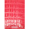 Nexgen Skins 3D hatással iPhone 5/5s/SE Aligator Fuchsia 3D készülékekhez (IP50004)