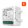 Smart Curtain Switch Module WiFi Avatto N-CSM01-1 TUYA (N-CSM01-1)