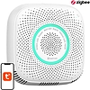 WiFi Heiman WS2CG Tuya intelligens földgázszivárgás érzékelő